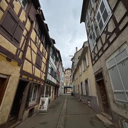 Le Colmarien - Hypercentre - Free Parking - Terrasse 度假居