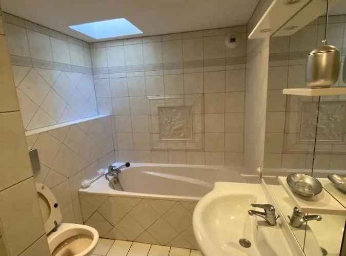 Prázdninový dům Le Colmarien - Hypercentre - Free Parking - Terrasse Colmar