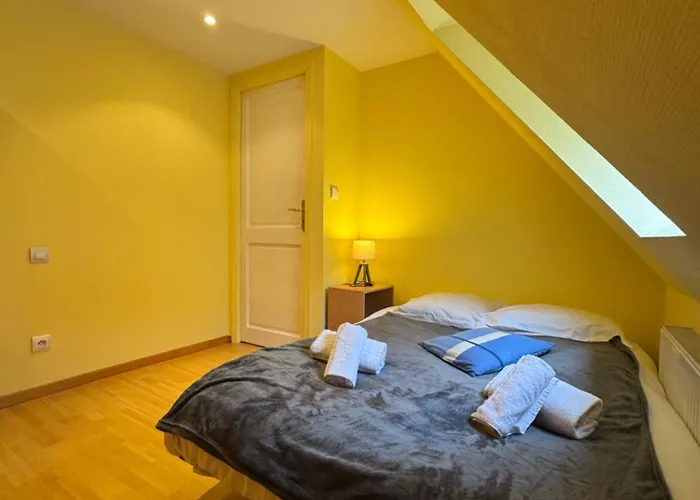 Prázdninový dům Le Colmarien - Hypercentre - Free Parking - Terrasse *