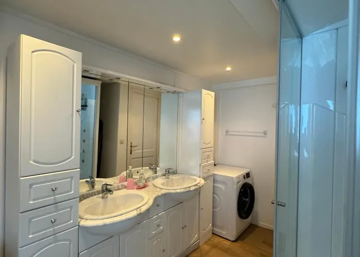 Prázdninový dům Le Colmarien - Hypercentre - Free Parking - Terrasse Colmar