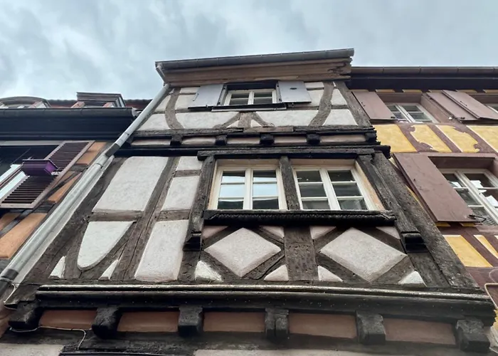 Le Colmarien - Hypercentre - Free Parking - Terrasse *